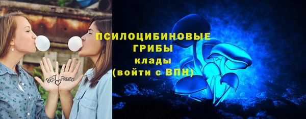 а пвп мука Богородицк